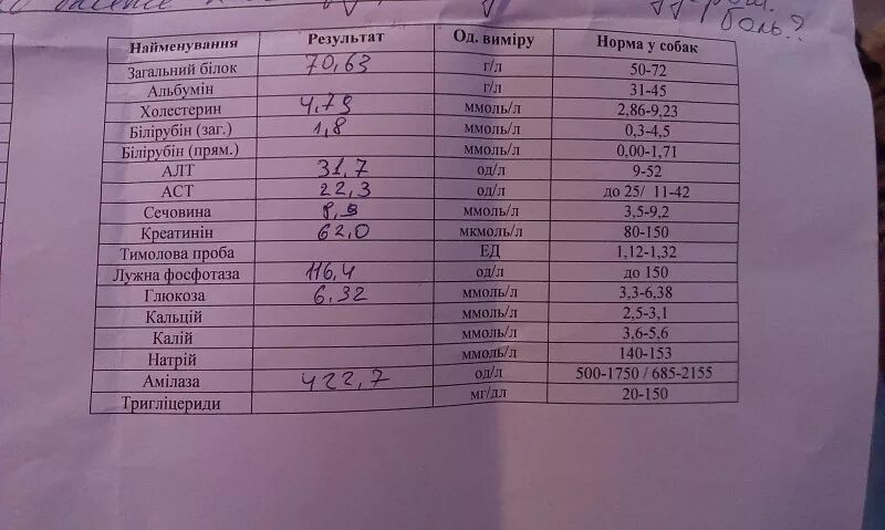 Алт анализ крови 60. Алт у собак норма. Показатели Глюкозы у собак. Норма сахара у собак. Норма Глюкозы у собак.