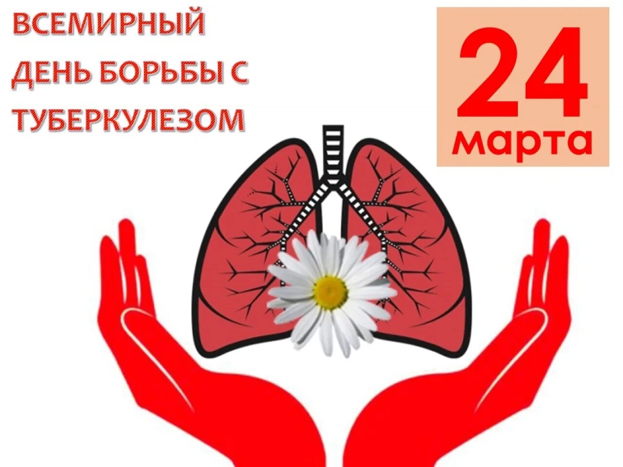 24 03 2025 дата