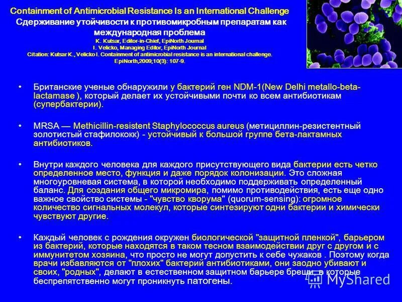 Staphylococcus антибиотики