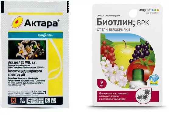 Самое эффективное средство от тли. Актара от тли. препараты актара против белокрылки. средство от тли актара. препарат от тли на цветах.