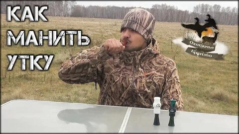 Как правильно манить утку