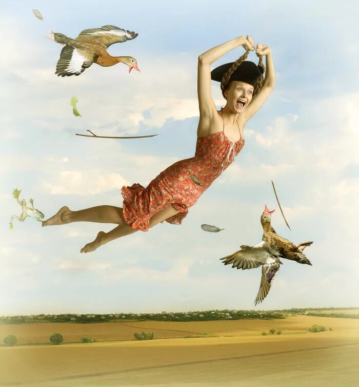 в следующей жизни. в следующей жизни буду птицей смешное. хочу стать птицей.