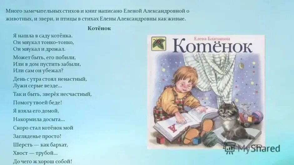 Я нашла в саду котенка стихотворение. Стихи Елены Благининой котенок. Стихотворение я нашла в саду котенка он мяукал. Котенок стихотворение 3 класс литературное