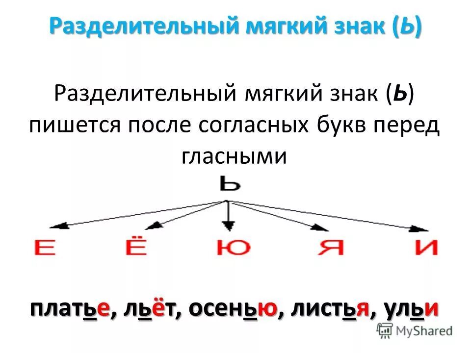 Правописание слов с разделительным твердым и мягким знаком. Разделительный мягкий знак и твердый знак правило. Разделительный твердый знак правило. Роль мягкого знака в русском языке. Разделительный твердый и мягкий знак правило 4 класс.