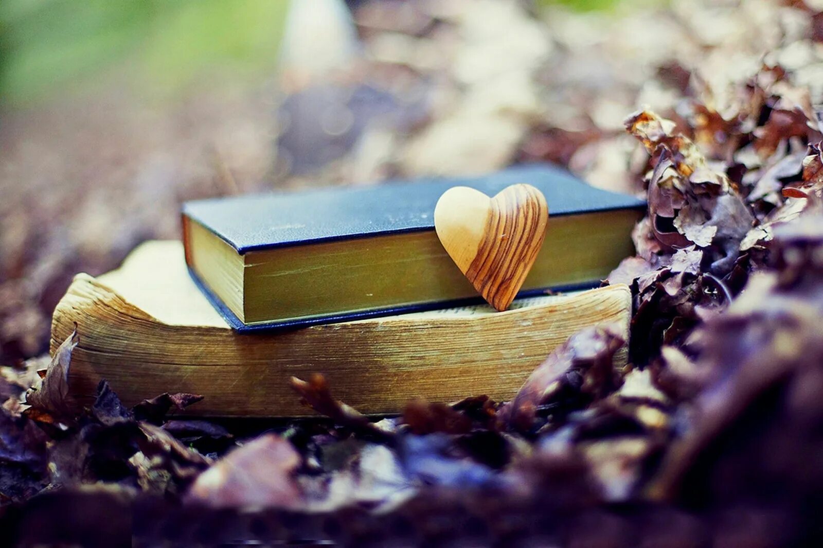 10 коротких книг. Красивые книги. красивый фон с книгами. вдохновение картинки. красивые фотографии книг.