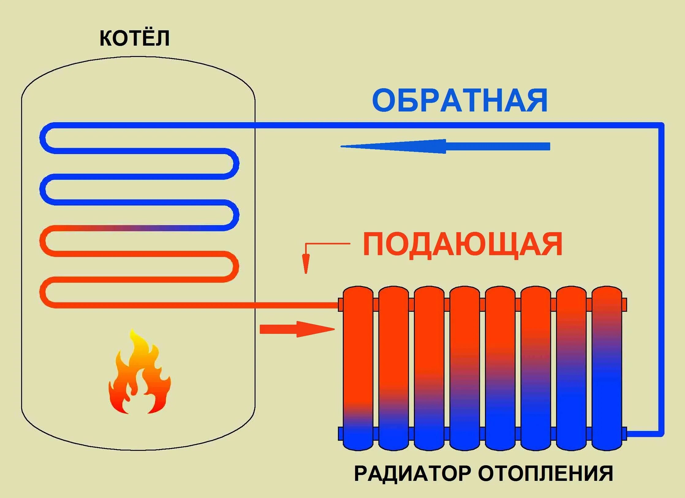 Схема циркуляции воды в батареях отопления. Схема работы батареи отопления. Принцип работы батареи отопления. Как устроен радиатор отопления. Принцип радиатора отопления