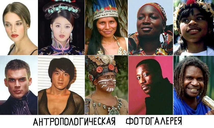 Различных рас. Люди разных рас. Разные женщины. Мужчины разных рас. Негроид и монголоид.