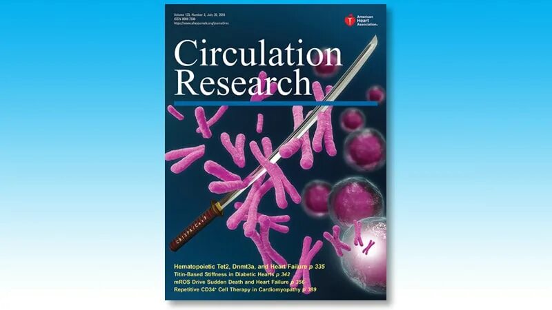 Naming research