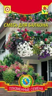 Семена для балкона