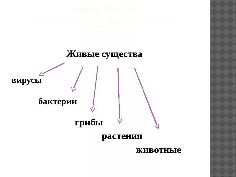 Схема живое существо