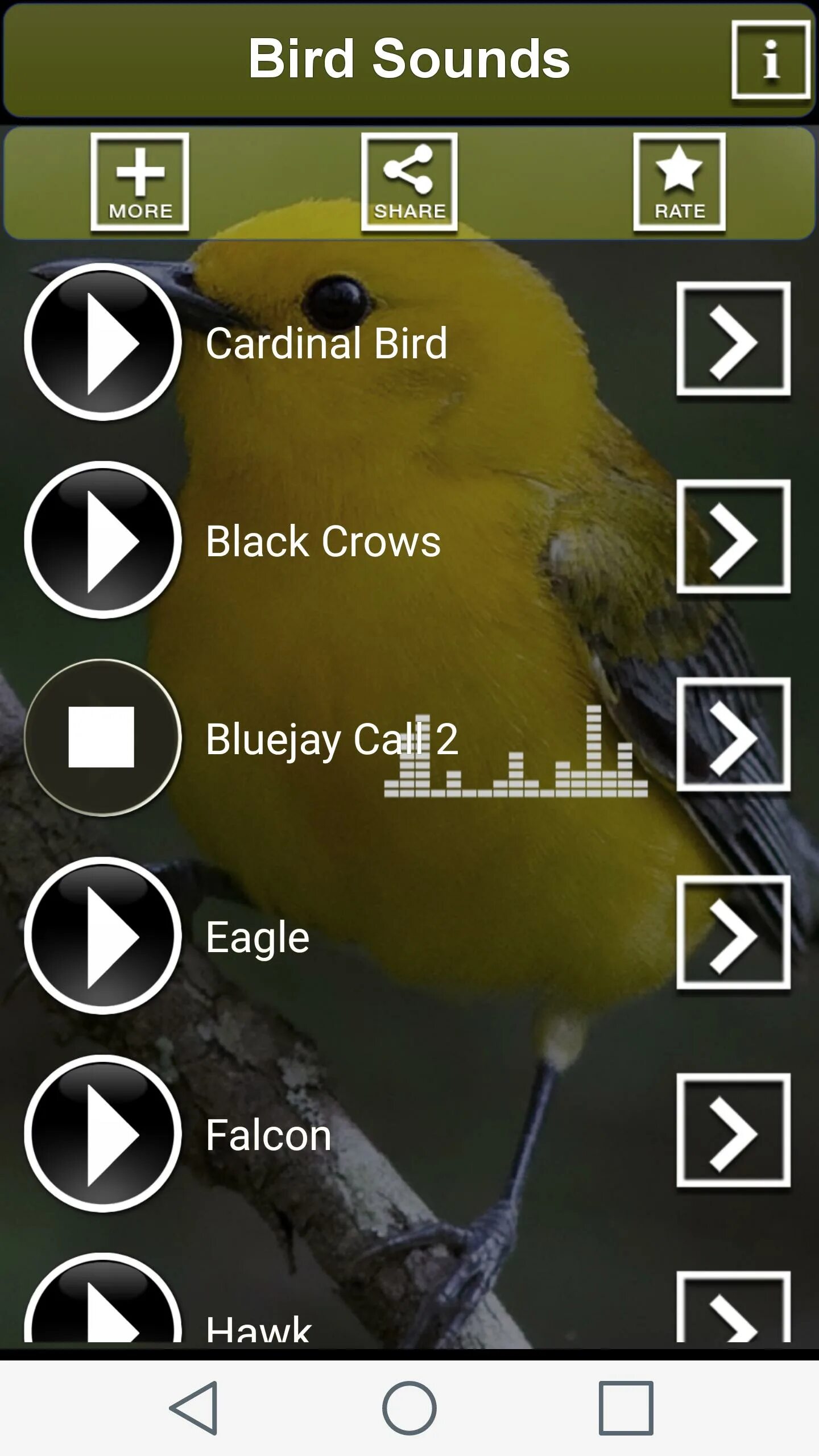 Птицы на андроид. Звуки птиц. Звук на смс птицы. Игры звуки птиц.