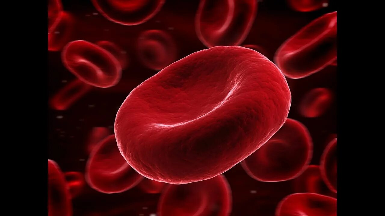 Сколько хромосом в эритроците. Клетки крови. Кровяные тельца. Эритроцит. Кровь человека под микроскопом.