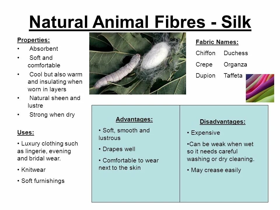 Fill in natural animal. Слайд animal Fibres. Fibre перевод. Examples of Fibre. Chemical Fiber Types.