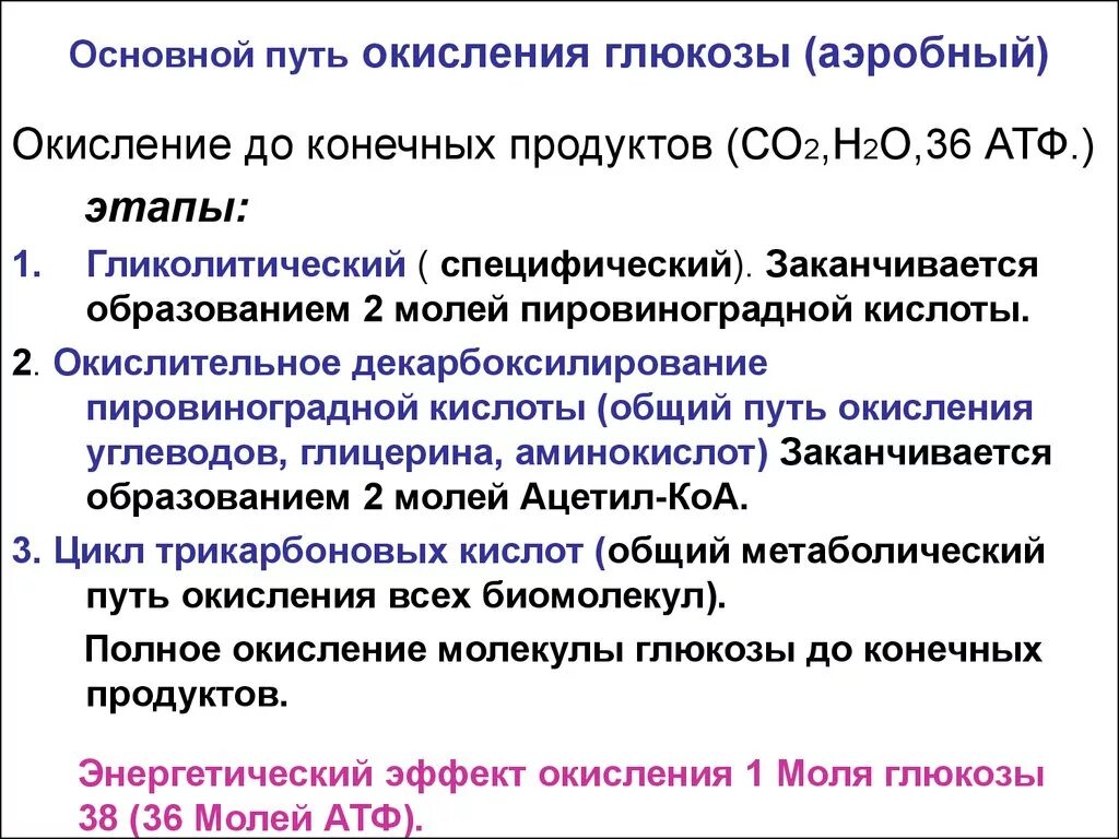 Основные стадии аэробного окисления Глюкозы. Регуляция аэробного дихотомического окисления Глюкозы. Основные этапы аэробного окисления углеводов. Характеристика основных этапов аэробного окисления углеводов..