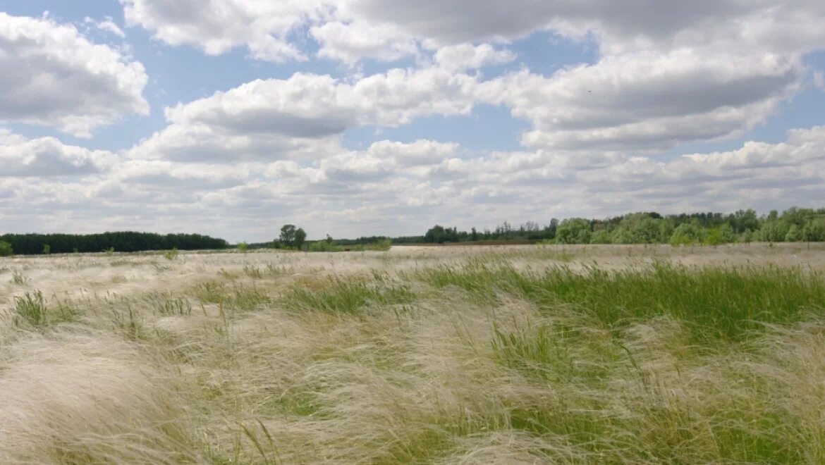 Степь днем. Яркий рассвет оренбургская степь. Степи в день рождения. Степь мемы. Хутор стародонской волгоградской области рыбалка.