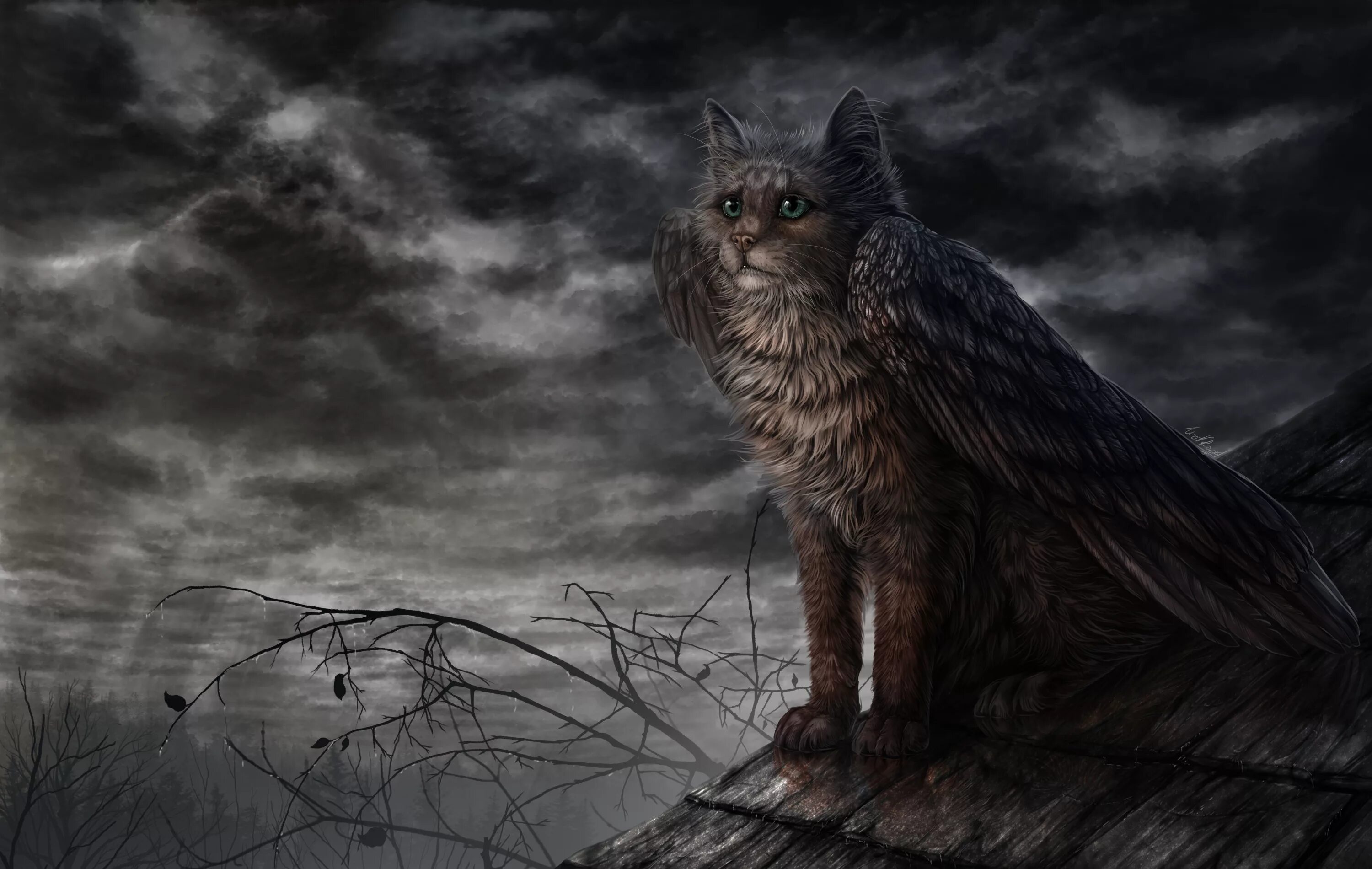 Мифические кошки с крыльями. Лунное озеро коты воители. Крылатый кот. Мифические кошки. Крылатые кошки.