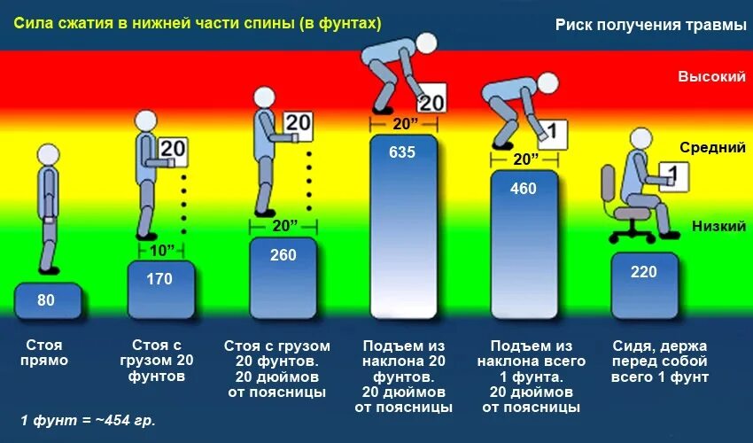 Сколько нельзя поднимать тяжести после операции. Распределение нагрузки на позвоночник. Нагрузка на позвоночник в разных. Осевая нагрузка на спину. Правильное распределение нагрузки на позвоночник.