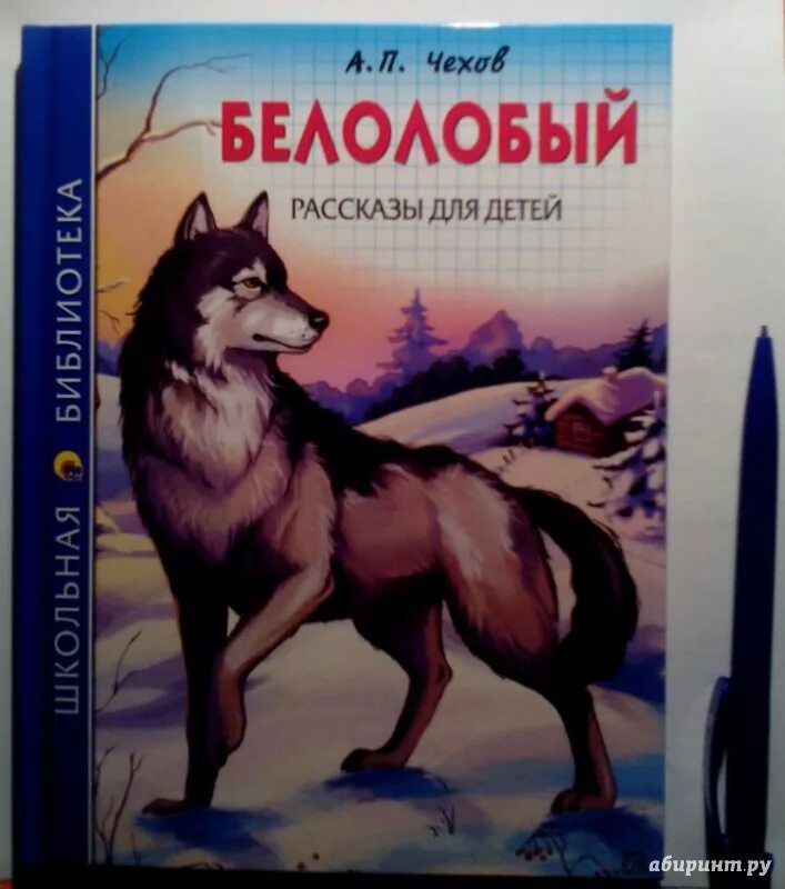 Белолобый чехов книга. Чехов детям белолобый. Каштанка и белолобый Чехов.