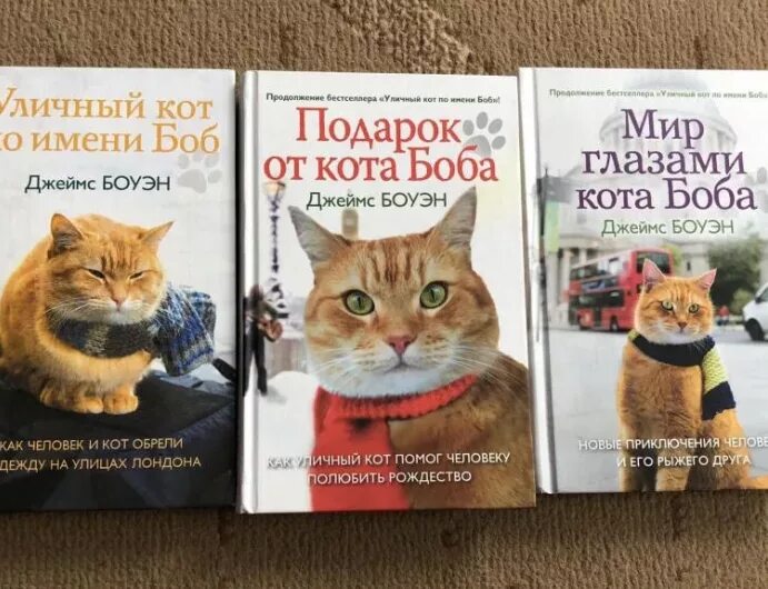 Кот по имени боб читать. Уличный кот по имени боб книга. боуэн кот по имени боб. книги о котах.