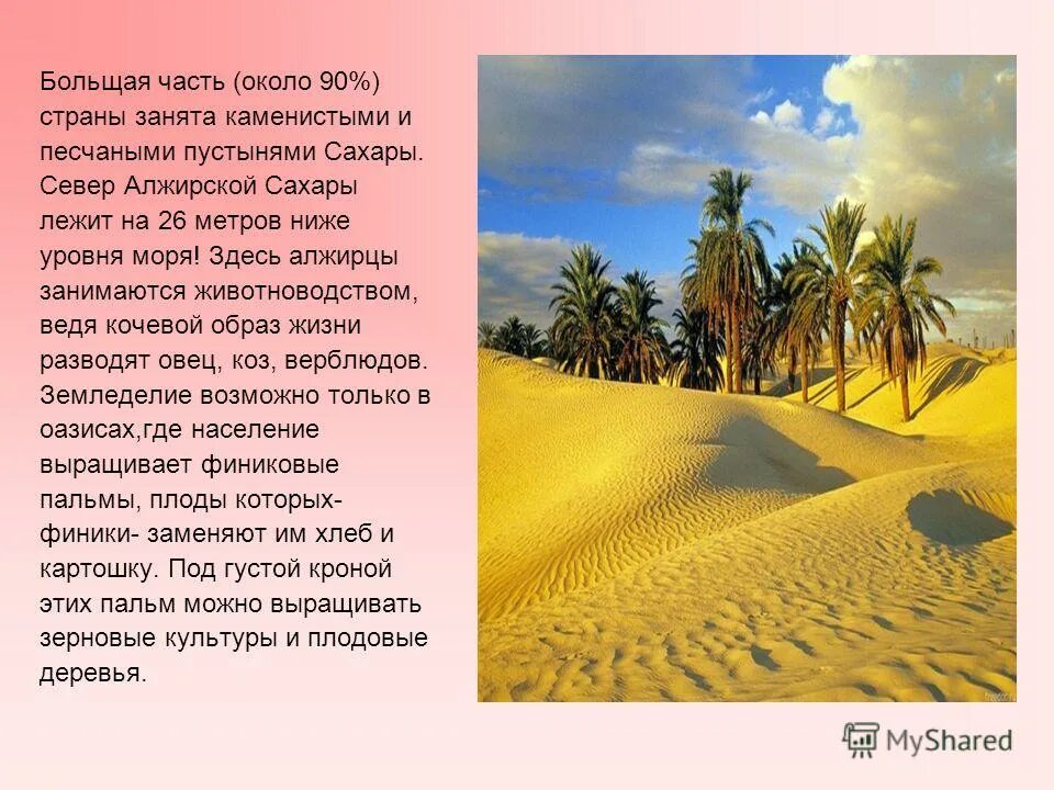 Особенности природно ресурсного капитала алжира и египта. Природные условия пустыни сахара. Особенности природы Алжира. Алжир презентация. Климат Сахары.