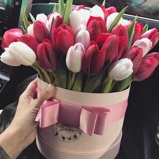 Букет тюльпанов в руках