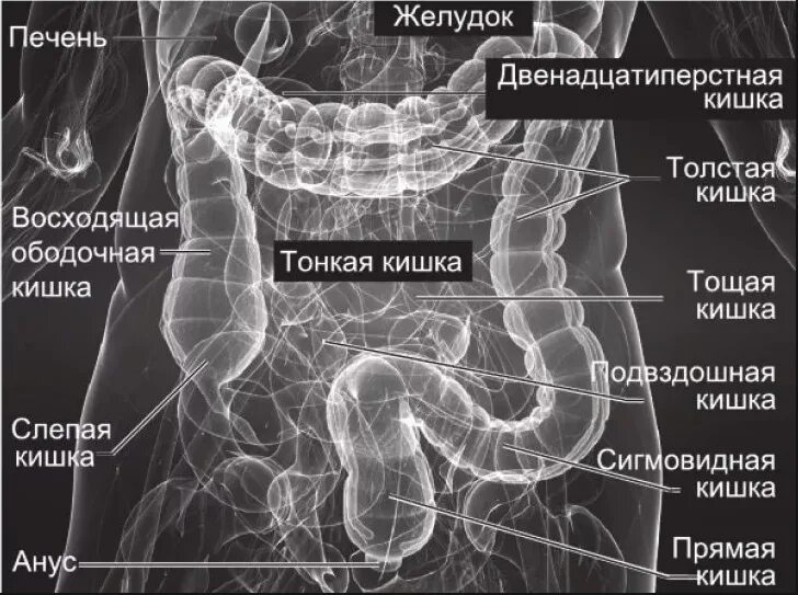 Где находится сигма