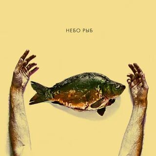 Sky fish