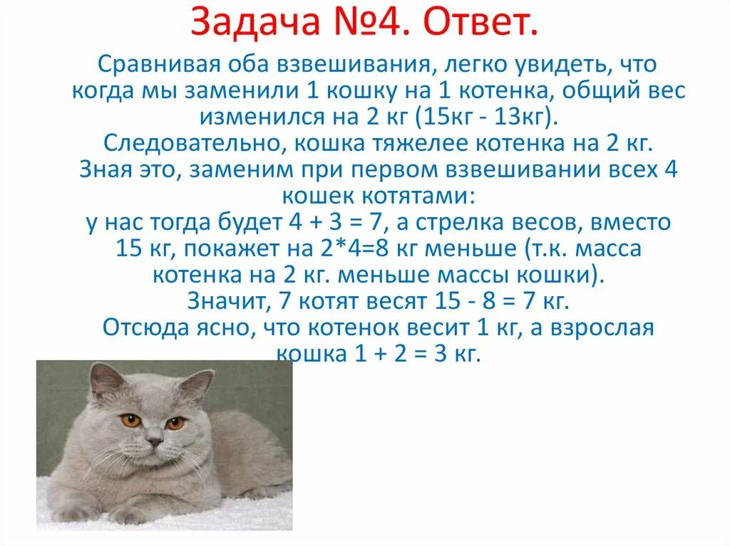 Задачки про кошек. Задачи на взвешивание. Математическая задача про кошек. Кошка 2 кг.