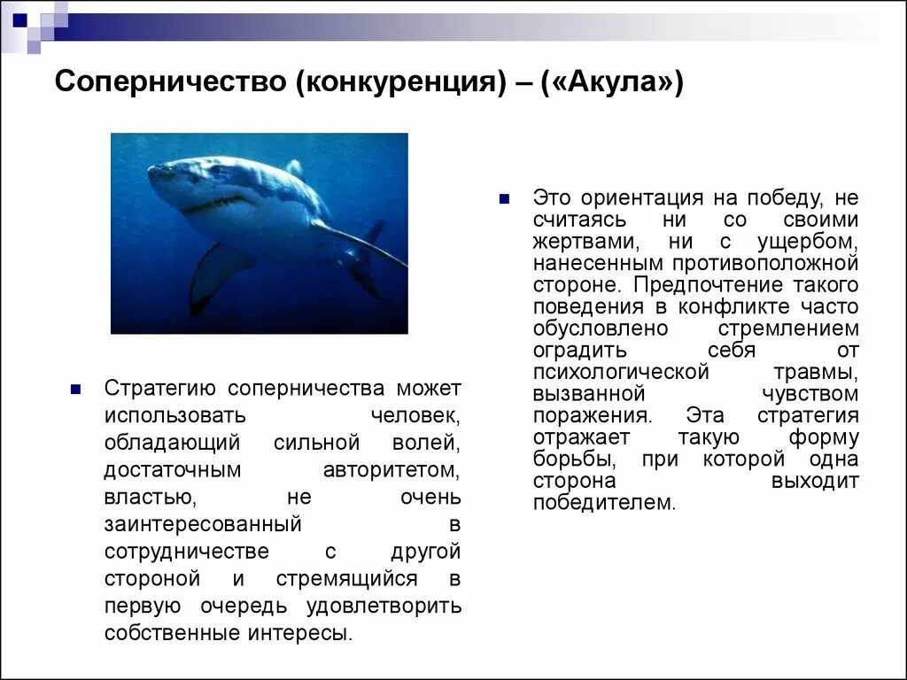 Конкуренция в конфликте это. Конкуренция акула. акула конкуренты. стиль акула в конфликте. стратегии поведения в конфликте акула.