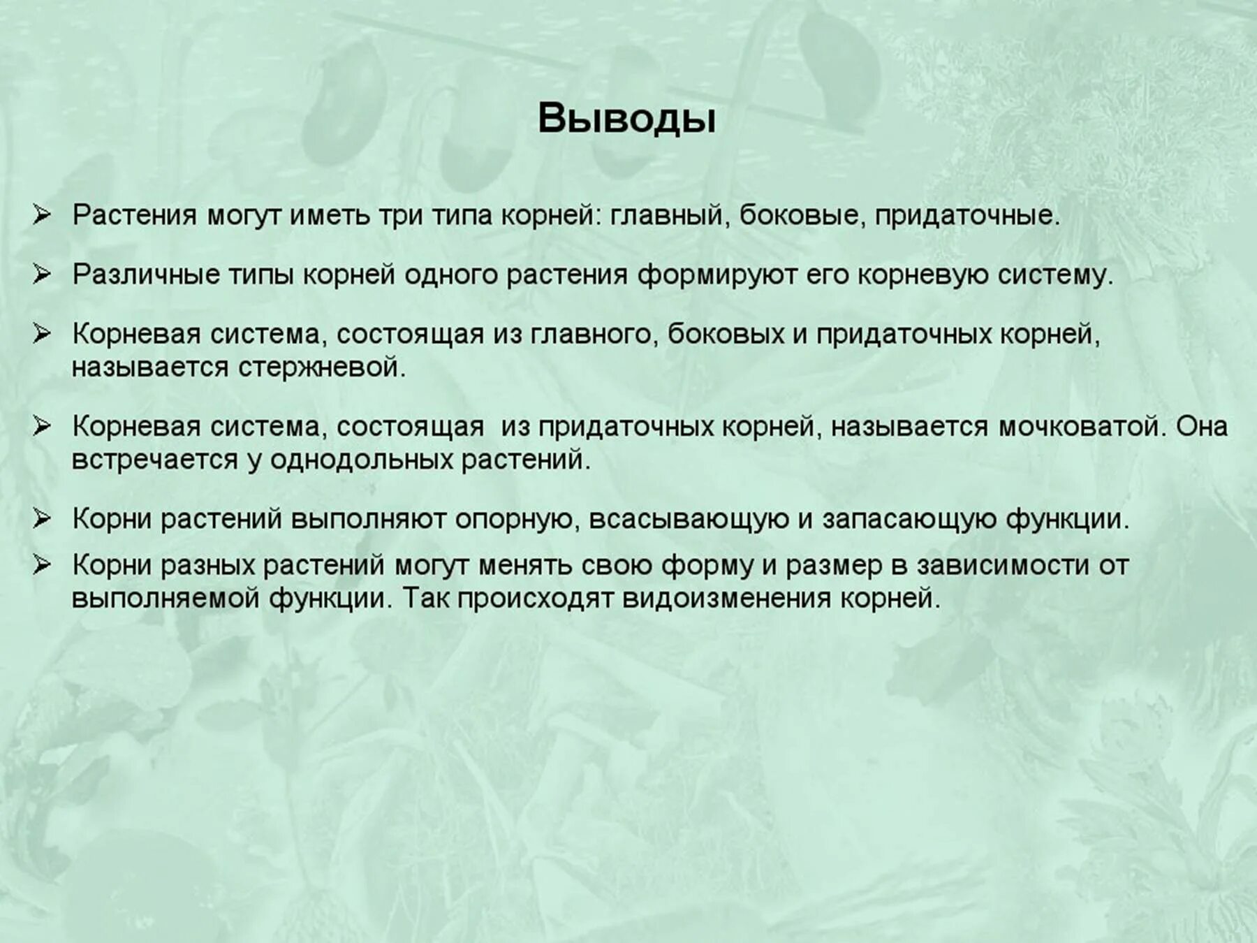 Типы корневых систем вывод. Вывод на тему типы корневой системы. Корневая система вывод. Какой вывод можно сделать о языке