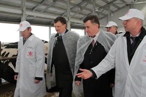 Сталь агрохолдинг