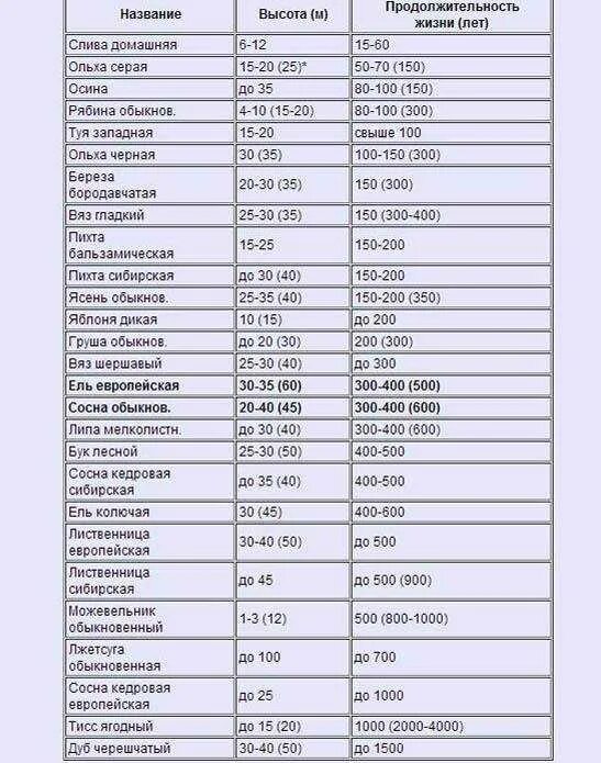 Сколько лет живут деревья таблица. Деревья долгожители названия и возраст таблица. продолжительность жизни деревьев в россии таблица. береза продолжительность жизни деревьев таблица. деревья долгожители россии таблица.