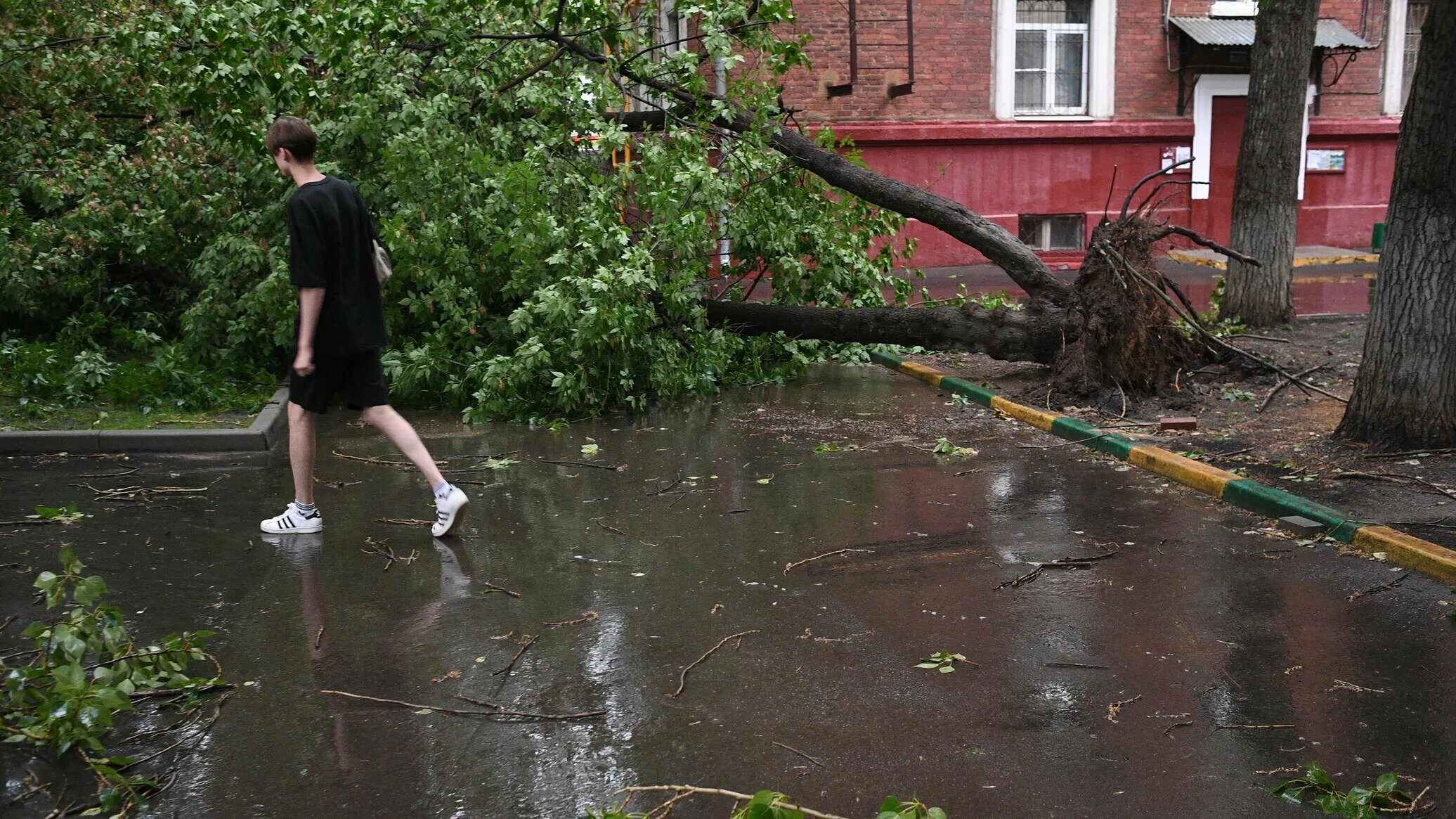 В москве ожидается ураган. Ураган в Москве. Сильный ветер в Москве. Непогода в Москве. Ураган в Москве 7 июля.