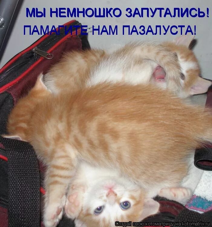 стресс. куча проводов. страх неизвестности. человек запутался. системный администратор.