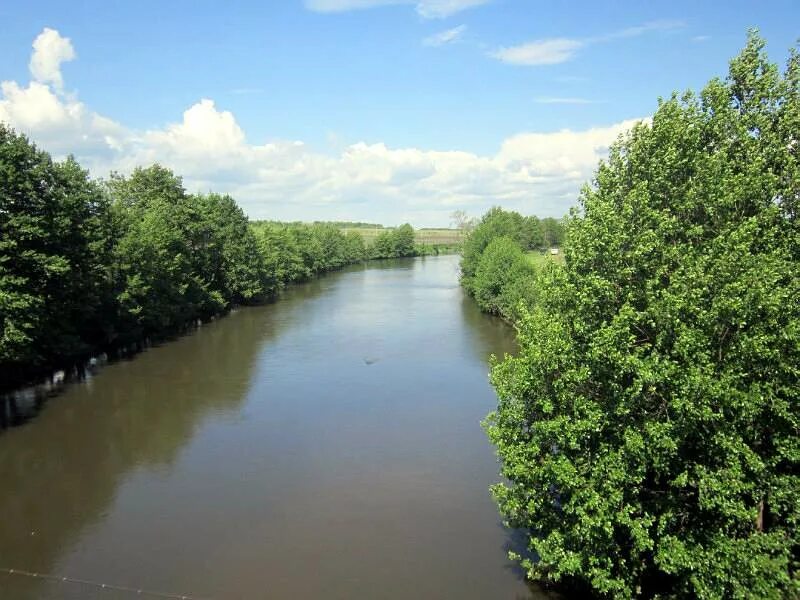 Река карсунка ульяновская область. Исток реки сызранка ульяновская область. Река барыш. Река барыш устье. Река кубра.