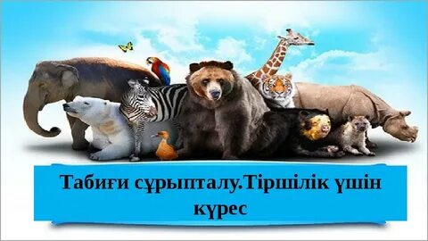 Отбасындағы секс Итальяндық порно