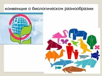 Биологические конвенции
