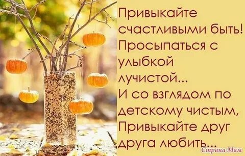 Сделай свой день счастливым