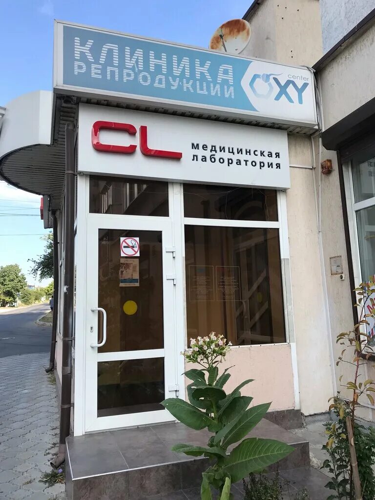 лаборатория 51 новороссийск. Cl лаборатория новороссийск. ул. лаборатория новороссийск. кдл лаборатория краснодар.