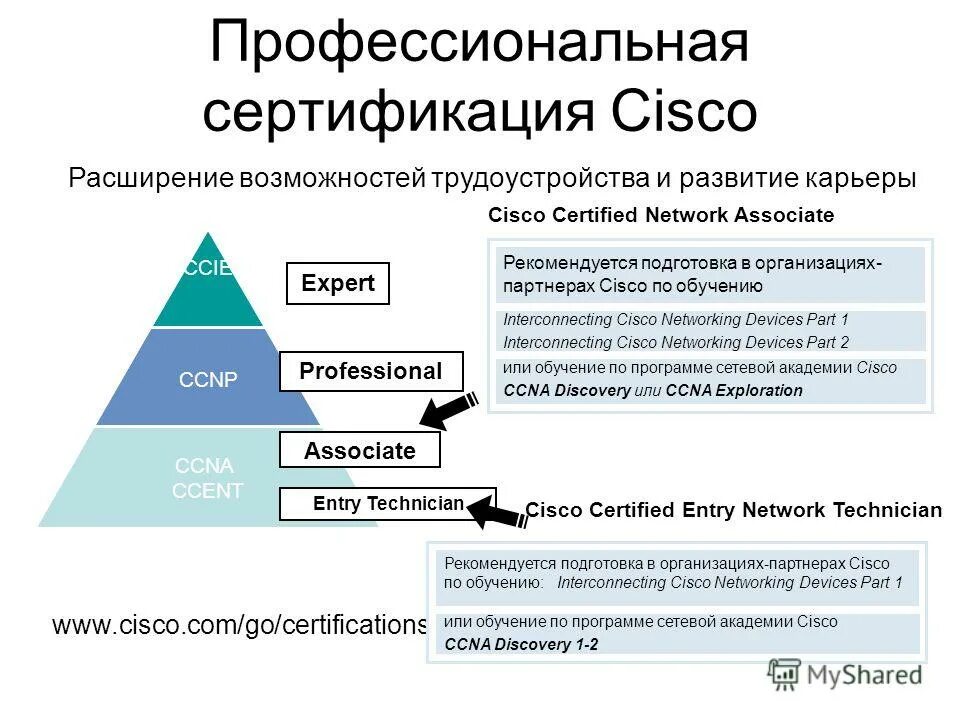 Профессиональная сертификация