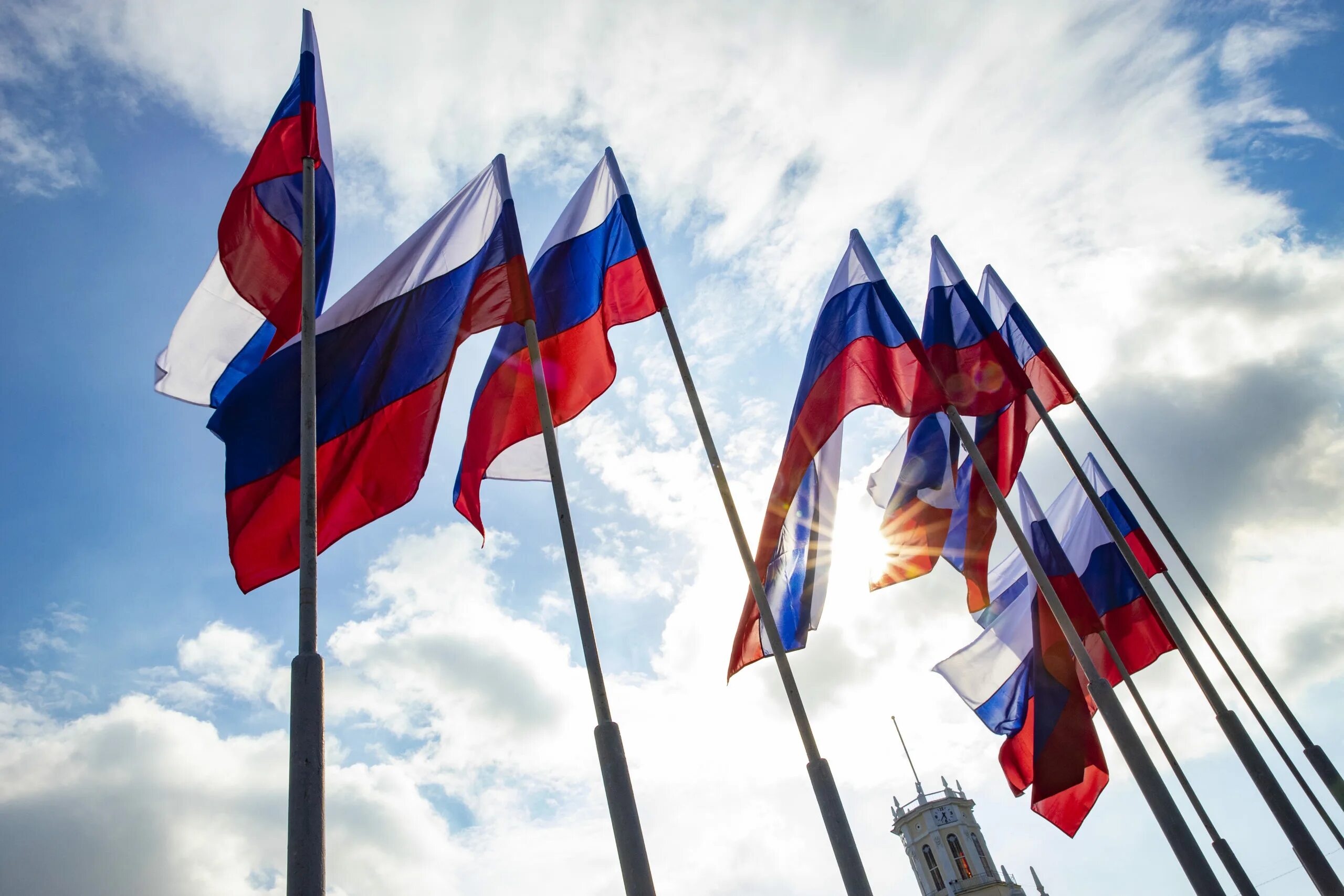 Установить российскую общественную