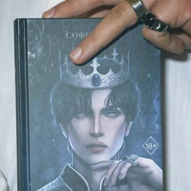 Принц ардена карта софи анри. Книга софи анри принц ардена. Книга принц арден. Обложка книги принц ардена. Та еще я книга.