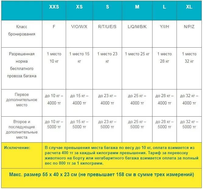 Сколько стоит кг л. Ручная кладь в поезде РЖД. Ручная кладь в поезде Размеры. Расценки на перевозки багажа в самолете. Дополнительное место багажа в поезде.