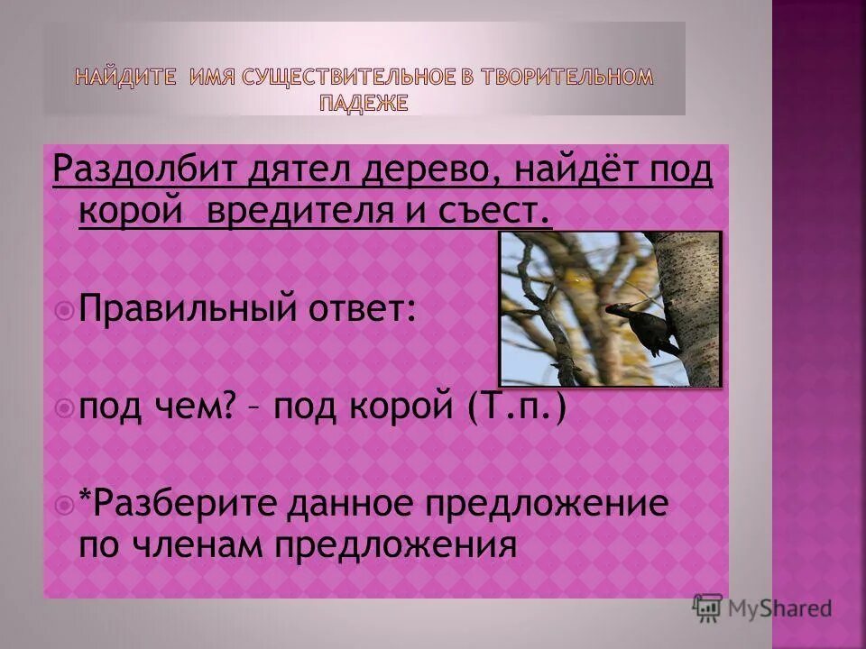 Пестрый имя существительное. Дерево членов предложения. Раздолбит дятел дерево найдет под корой вредителя и съест.