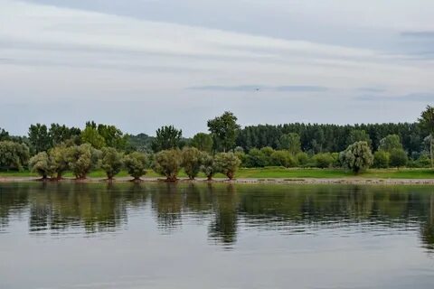 Лесное земельное водное