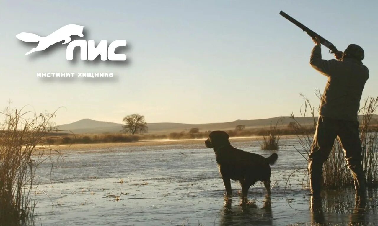 Любимая охота. Эрик адамс на охоте. Что используется в коммунальном хозяйстве охота. Любимая охота. Любимая охота.