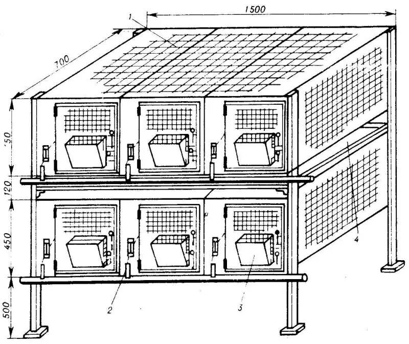 Размер клетки для кур несушек. Размер клетки для кроликов с маточником схема. Клетка для нутрий Размеры чертежи. Чертежи клеток для кур несушек. Схема клетки для кур несушек.