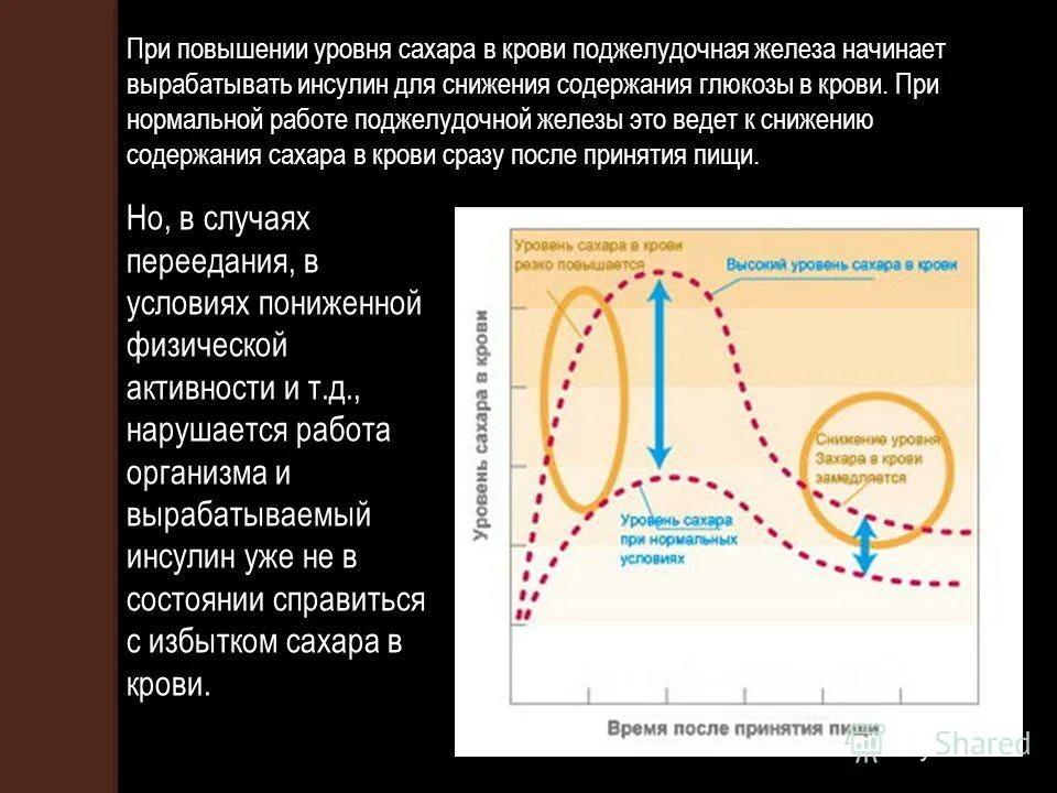 Уровня выработки инсулина. Механизм повышения сахара в крови. При повышении сахара. График выработки инсулина. Повышение инсулина в крови причины.