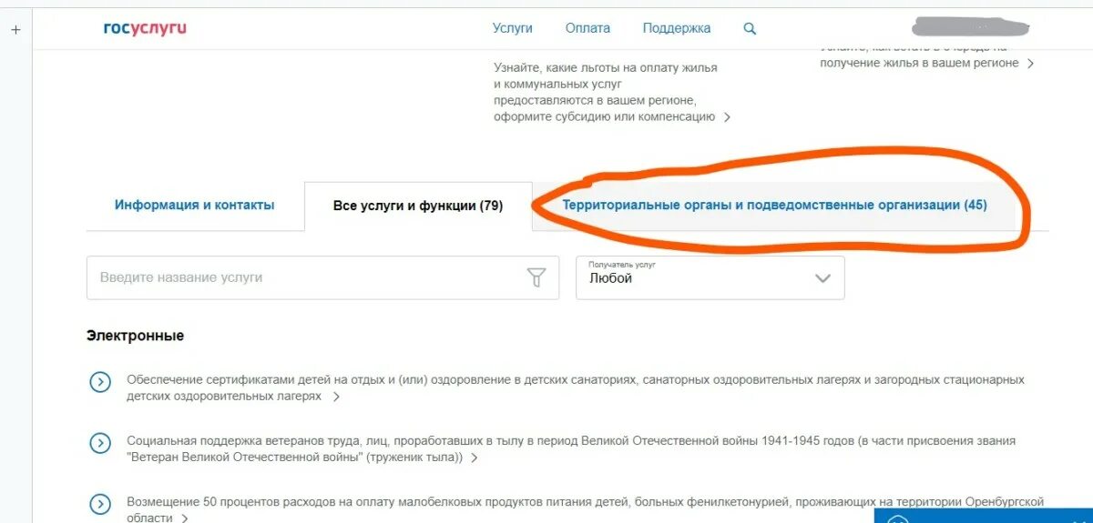 Оформить выплаты ветерану боевых действий через госуслуги. Записаться Соцзащита через госуслуги. Запись на прием в соцзащиту через госуслуги. Запись на прием в социальную защиту через госуслуги.