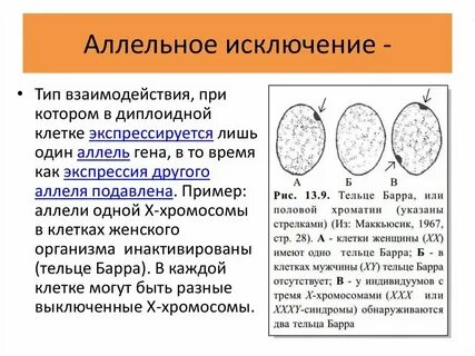 Случайное изменение генотипа это